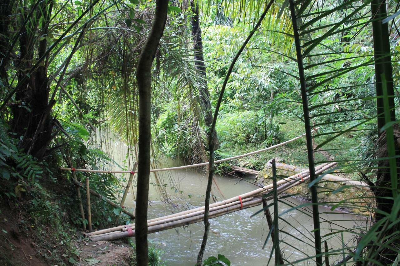 Villa Sindu Ubud Esterno foto